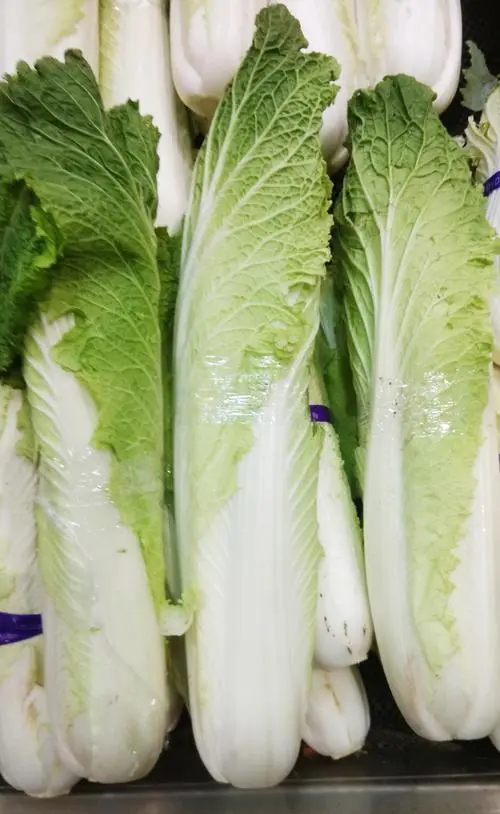 长白菜